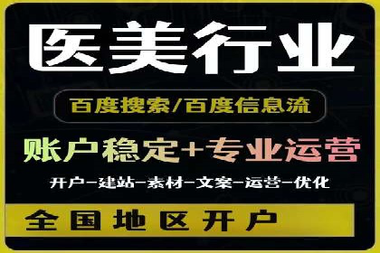 行业领先企业的SEM代理案例剖析